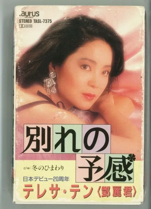 别れの予感 - 冬のひまわり