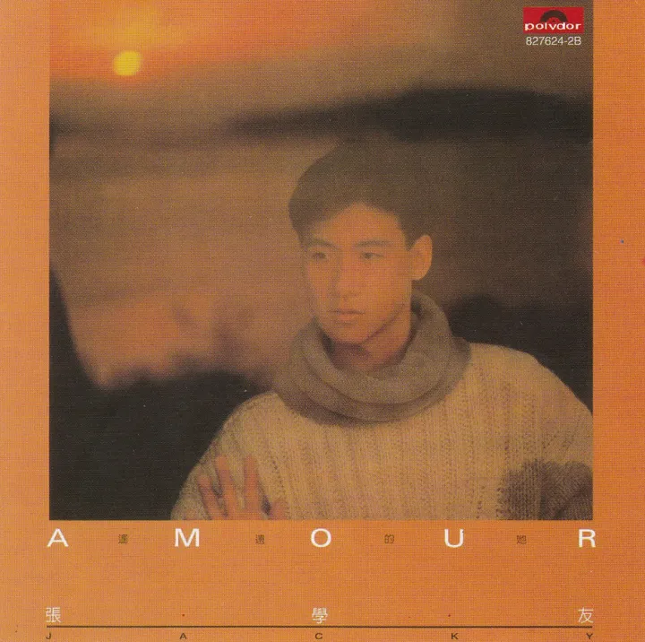 Amour / 遥远的她 唱片封面