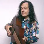 David Lindley (大卫·林德利) album cover