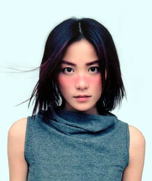 王菲 (Faye Wong) 唱片封面