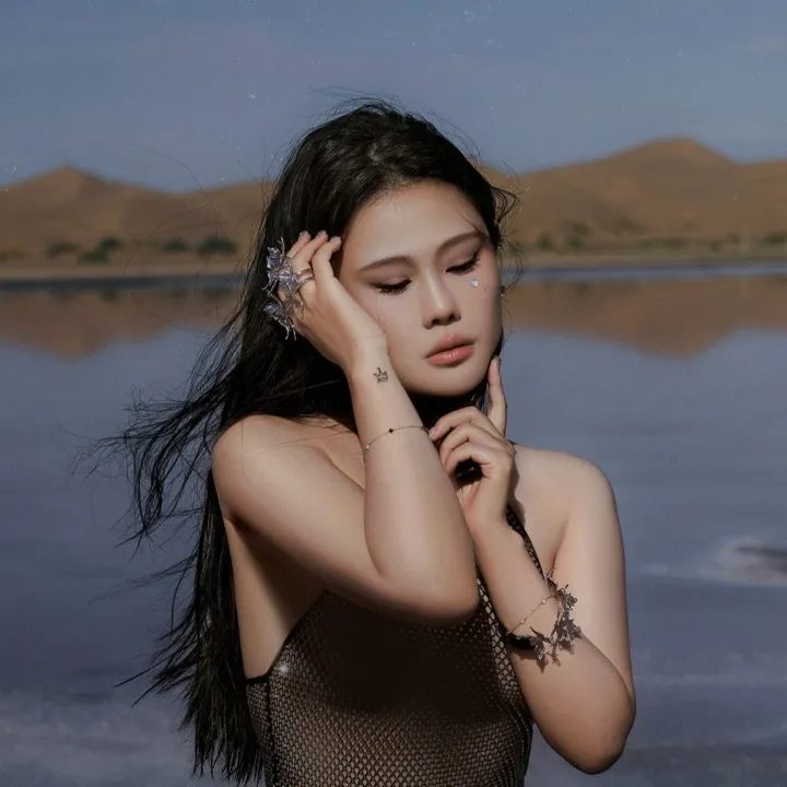 袁娅维